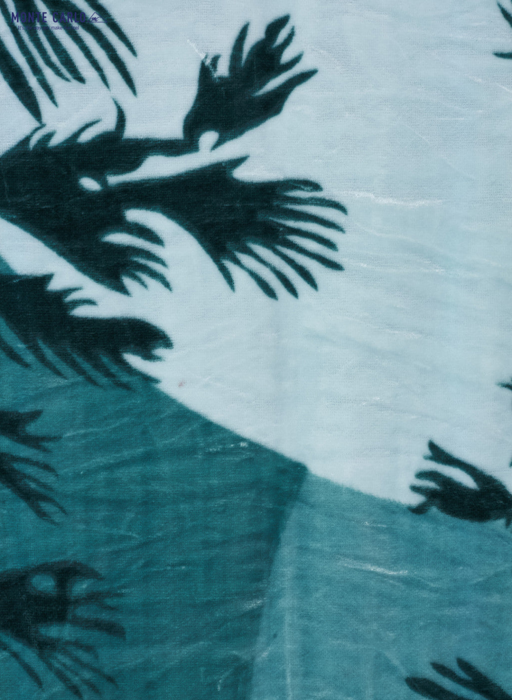 Printed Mink Double Blanket for Mild Winter -2 Ply