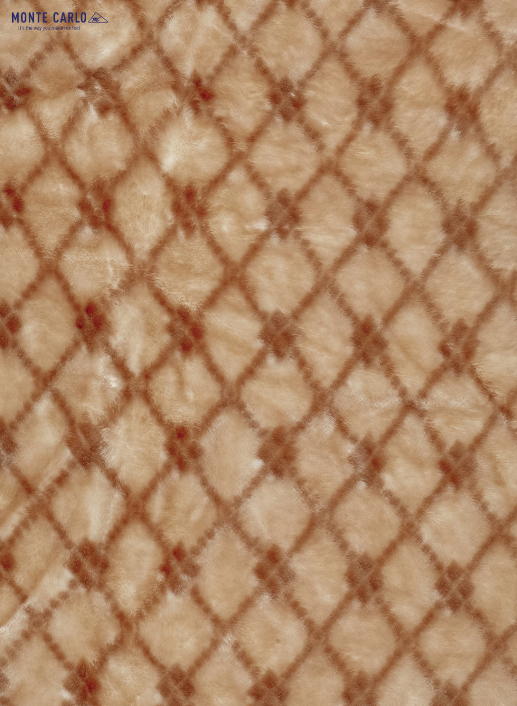 Printed Mink Single Blanket for Heavy Winter - 2 Ply
