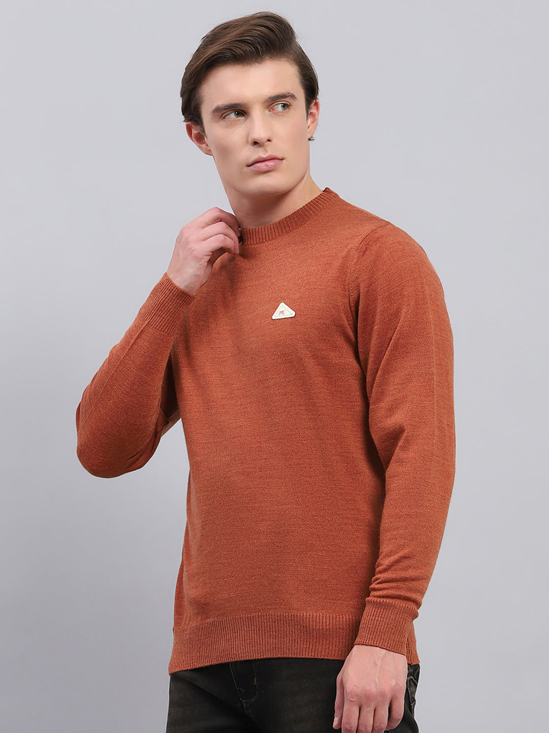 Men Rust Solid Round Neck Full Sleeve Pullover