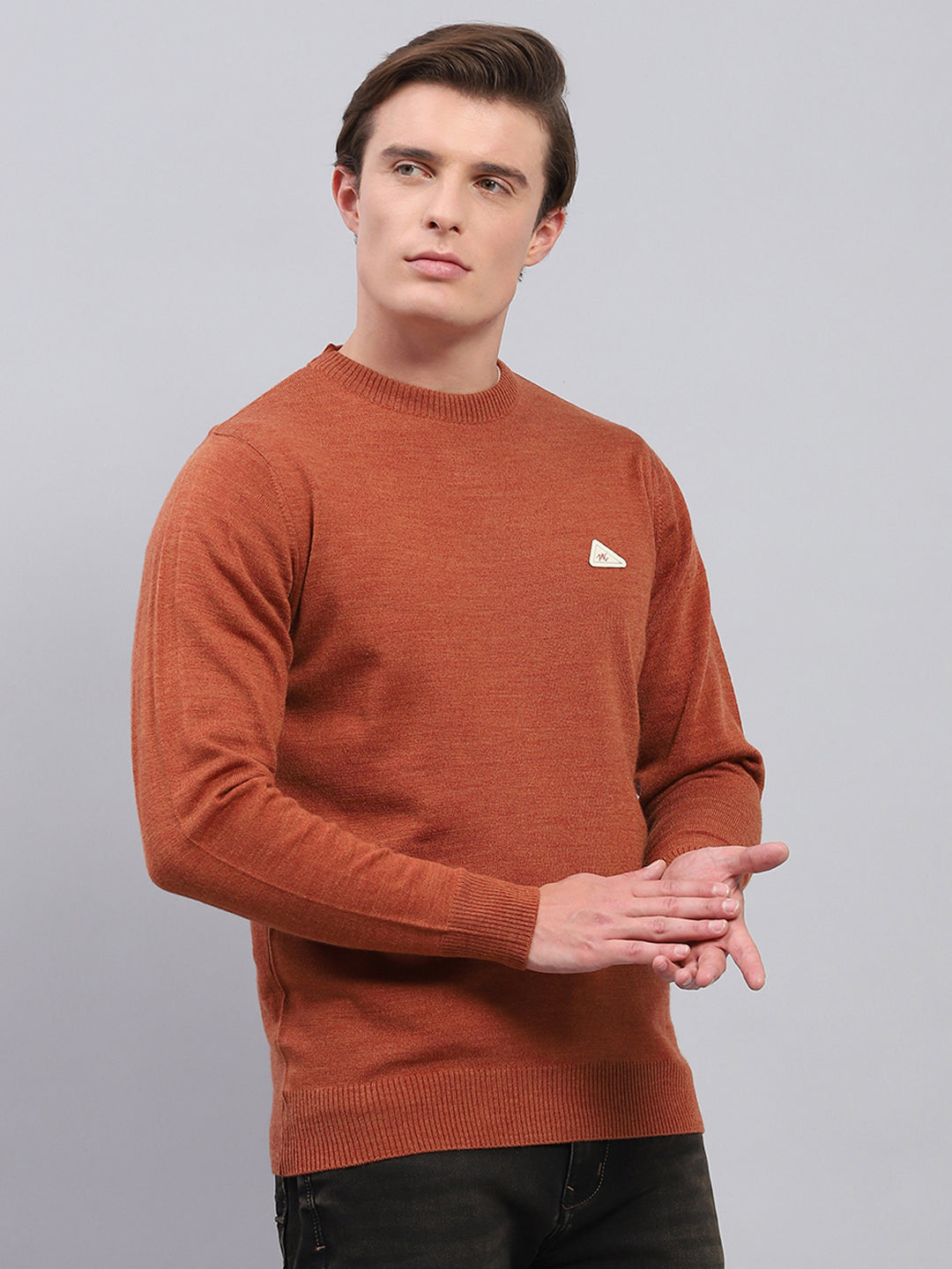 Men Rust Solid Round Neck Full Sleeve Pullover