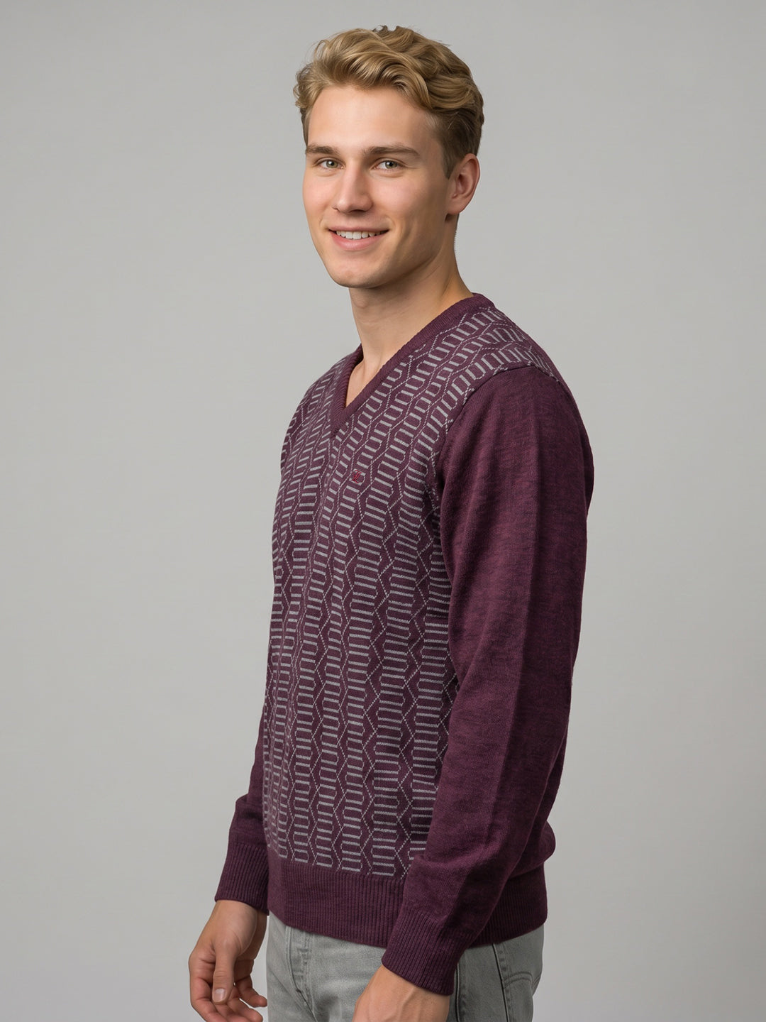 Luxuria Men Purple Jacquard V Neck Full Sleeve Pullover