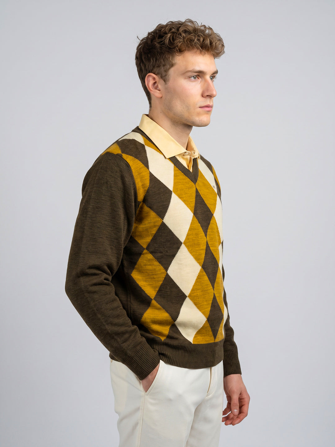 Men Brown Self Design V Neck Full Sleeve Pullover