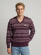 Men Purple Jacquard V Neck Full Sleeve Pullover