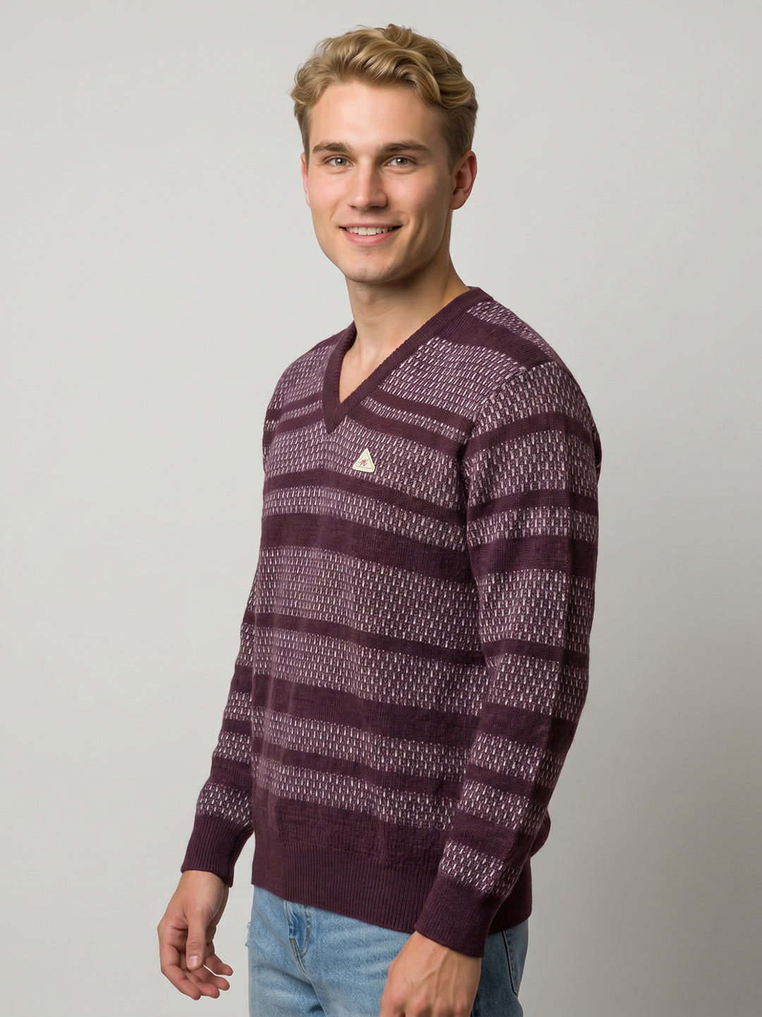 Men Purple Jacquard V Neck Full Sleeve Pullover