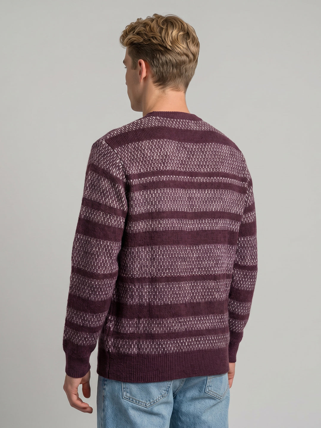 Men Purple Jacquard V Neck Full Sleeve Pullover