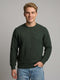 Luxuria Men Olive Self Design Round Neck Full Sleeve Pullover