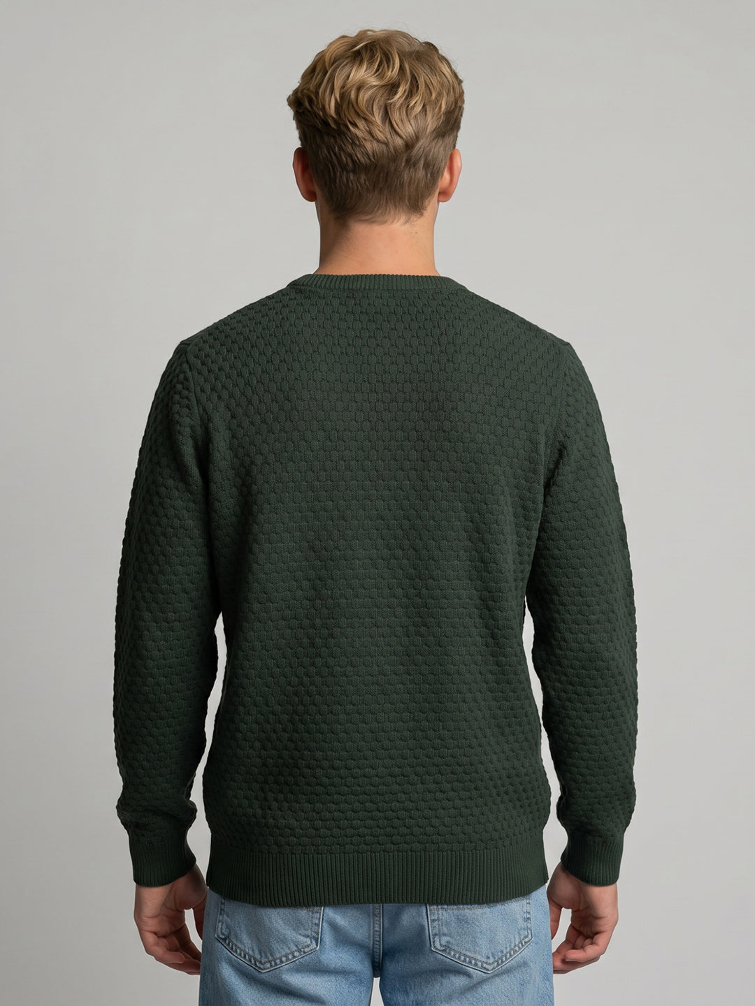 Luxuria Men Olive Self Design Round Neck Full Sleeve Pullover