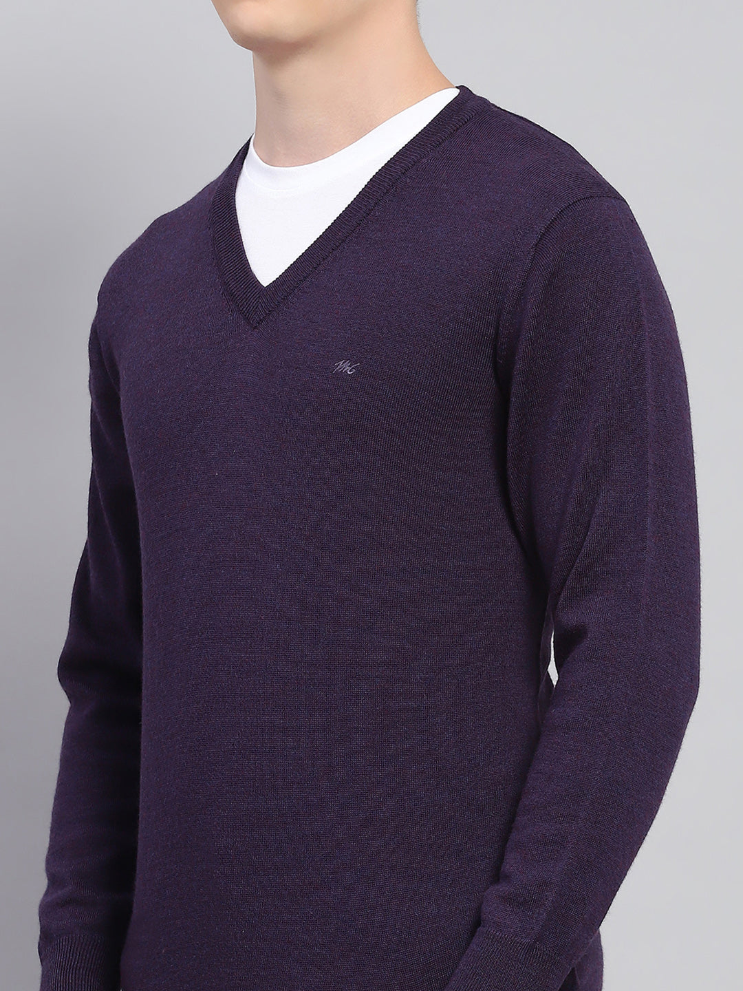 Men Purple Solid V Neck Full Sleeve Pullover