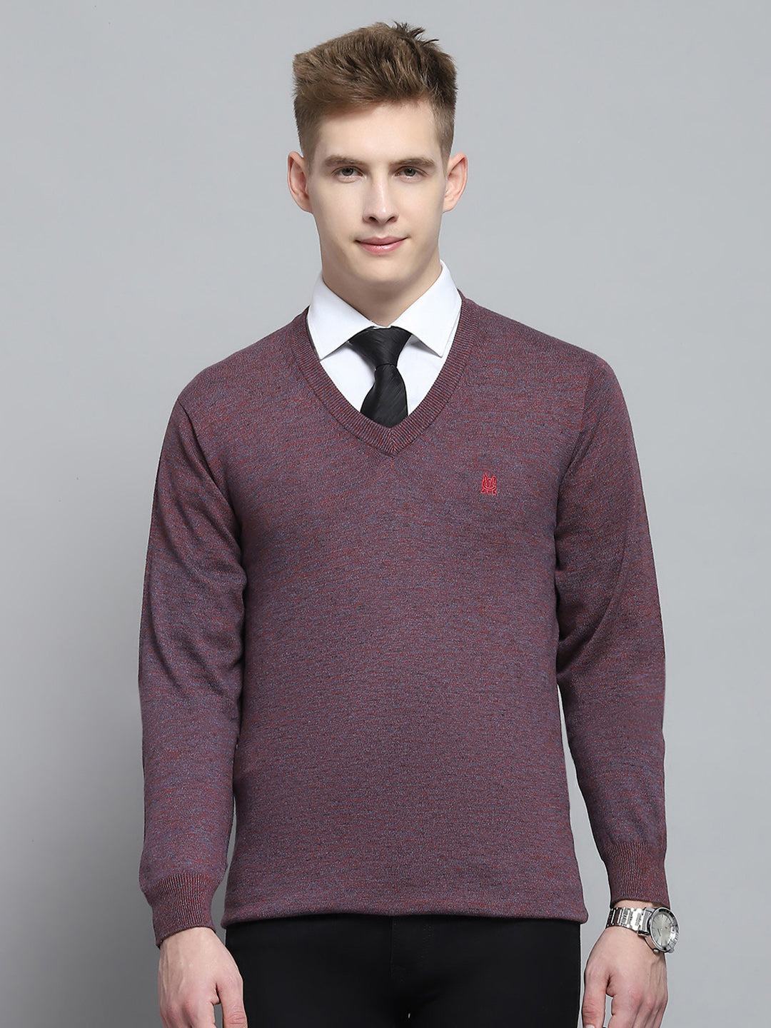 Men Purple Solid V Neck Full Sleeve Pullover