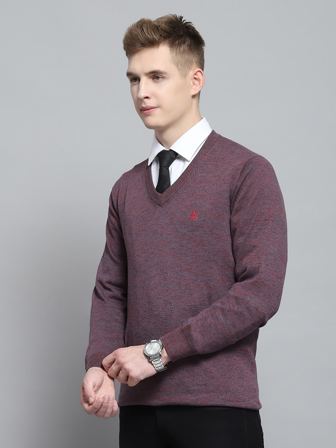 Men Purple Solid V Neck Full Sleeve Pullover