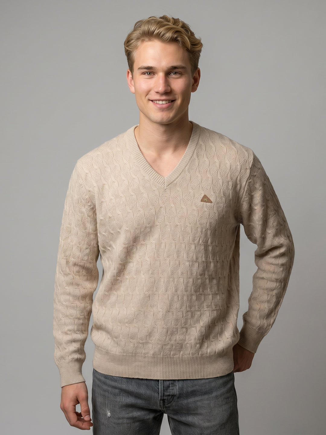 Men Beige Self Design V Neck Full Sleeve Pullover