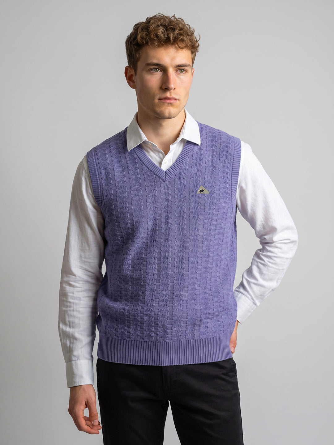 Men Purple Self Design V Neck Sleeveless Sweater
