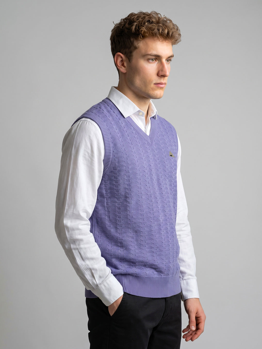 Men Purple Self Design V Neck Sleeveless Sweater