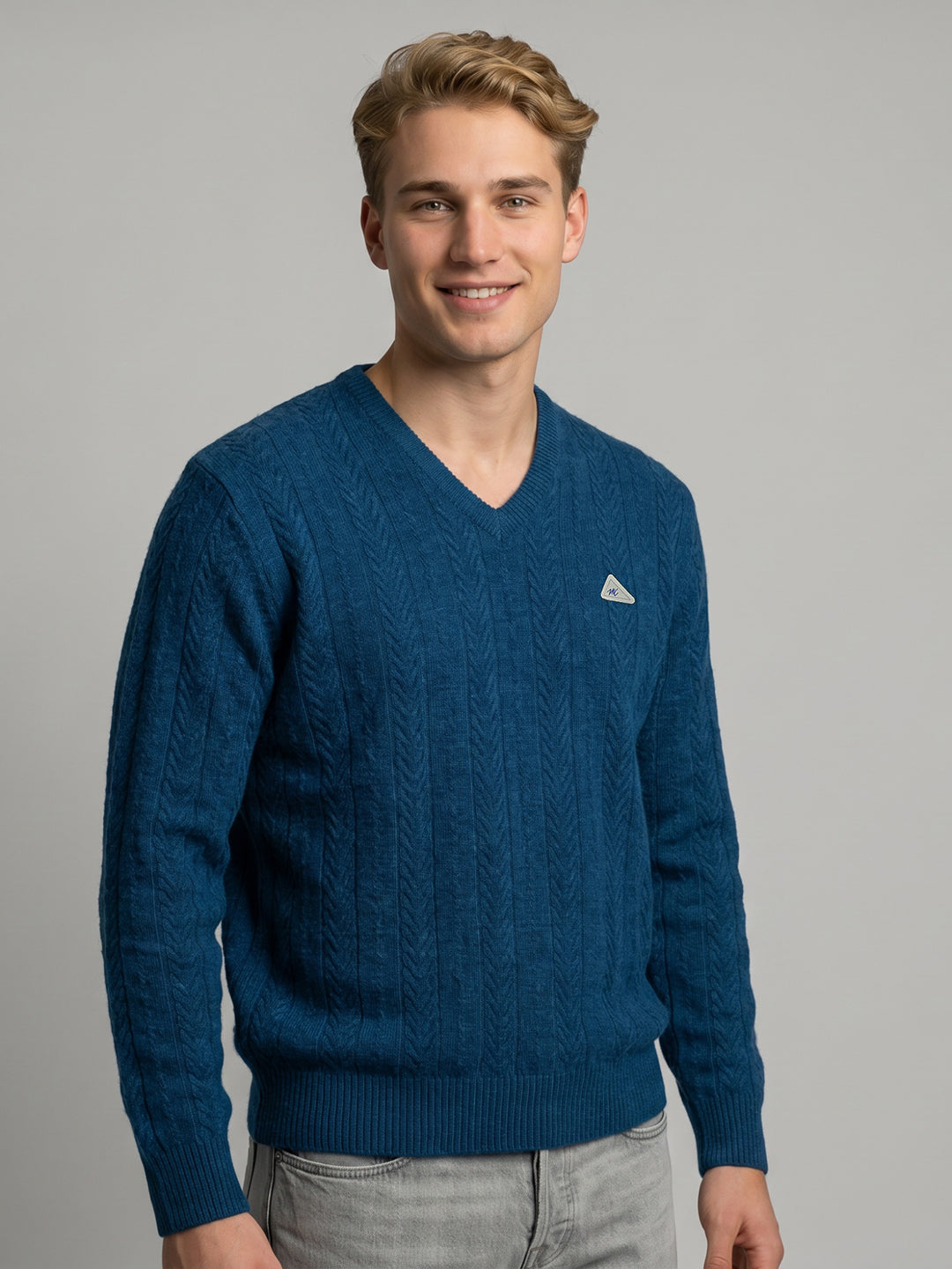 Men Blue Self Design V Neck Full Sleeve Pullover