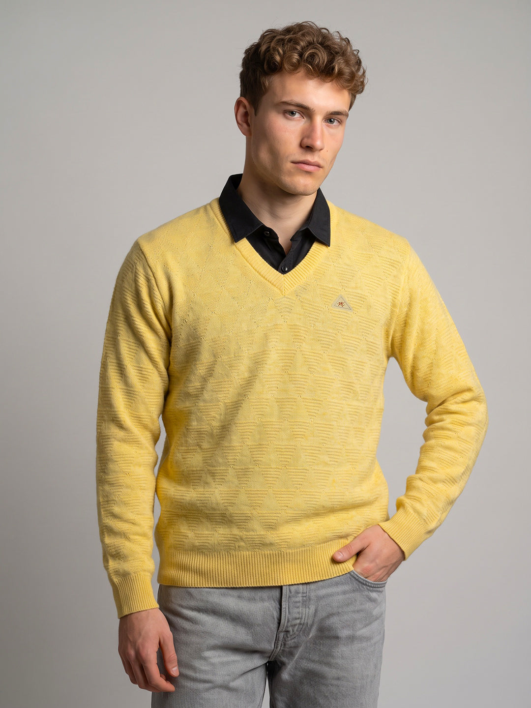 Men Yellow Self Design V Neck Full Sleeve Pullover