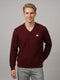 Men Maroon Self Design V Neck Full Sleeve Pullover