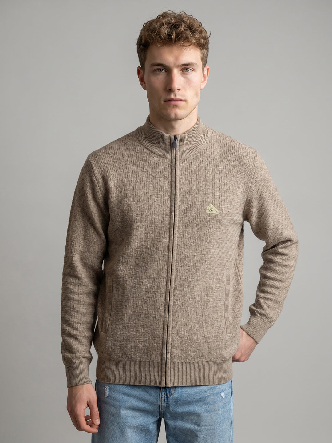 Men Beige Self Design Turtle Neck Full Sleeve Pullover