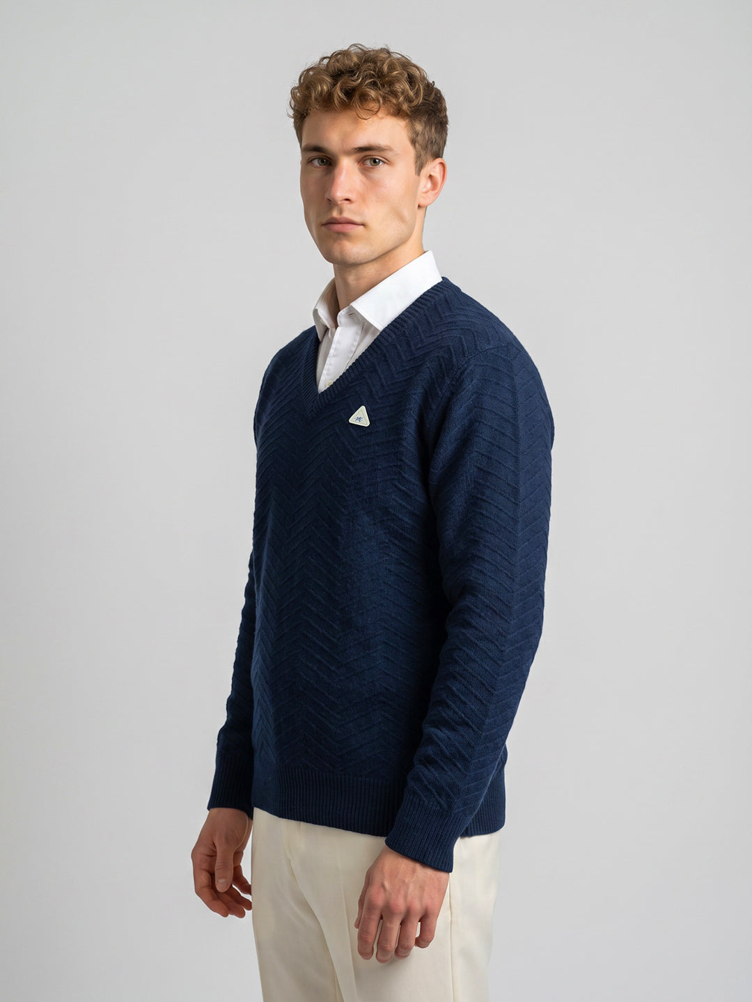 Men Blue Self Design V Neck Full Sleeve Pullover
