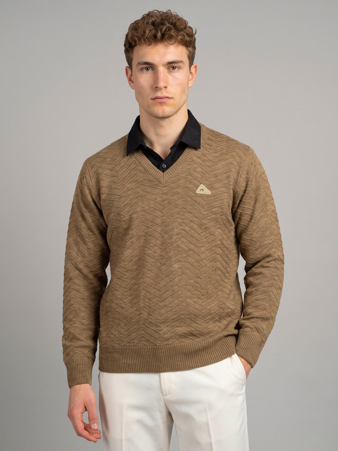 Men Brown Self Design V Neck Full Sleeve Pullover