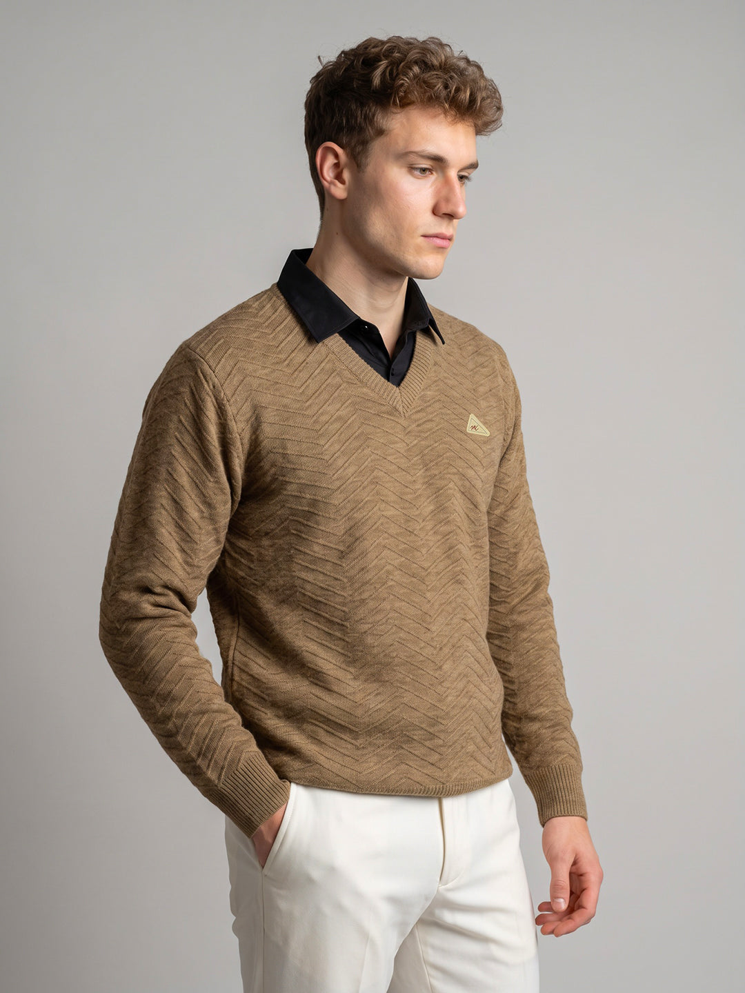 Men Brown Self Design V Neck Full Sleeve Pullover