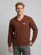 Men Rust Self Design V Neck Full Sleeve Pullover