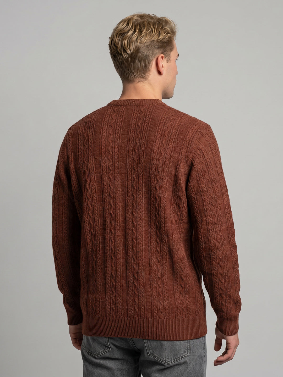 Men Rust Self Design V Neck Full Sleeve Pullover