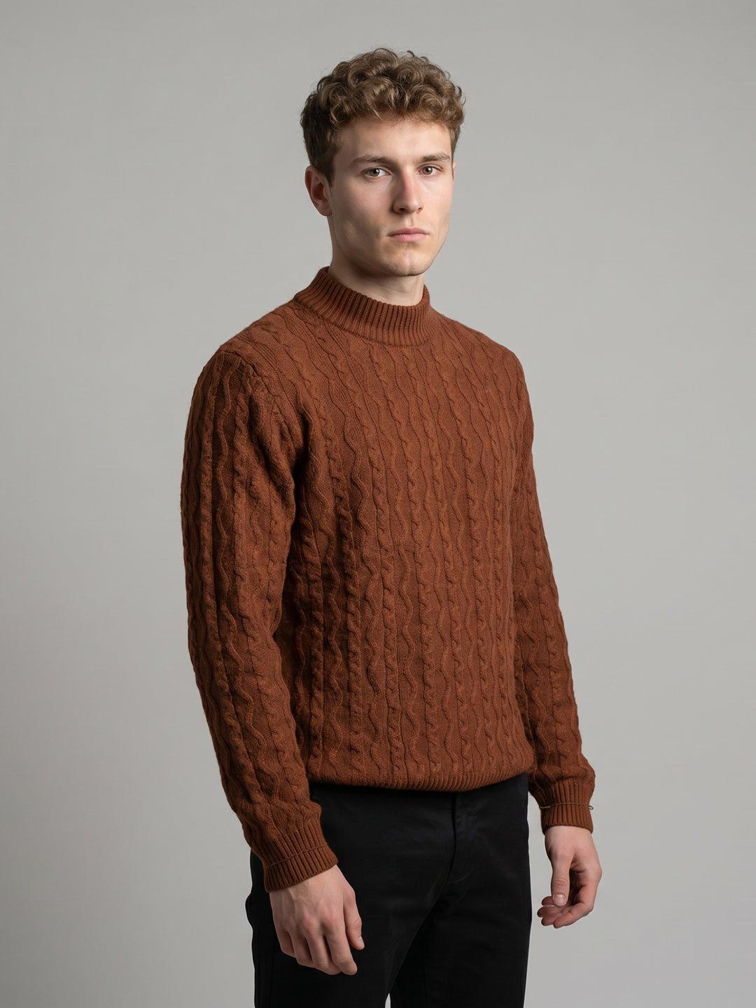 Men Brown Self Design High Neck Full Sleeve Pullover