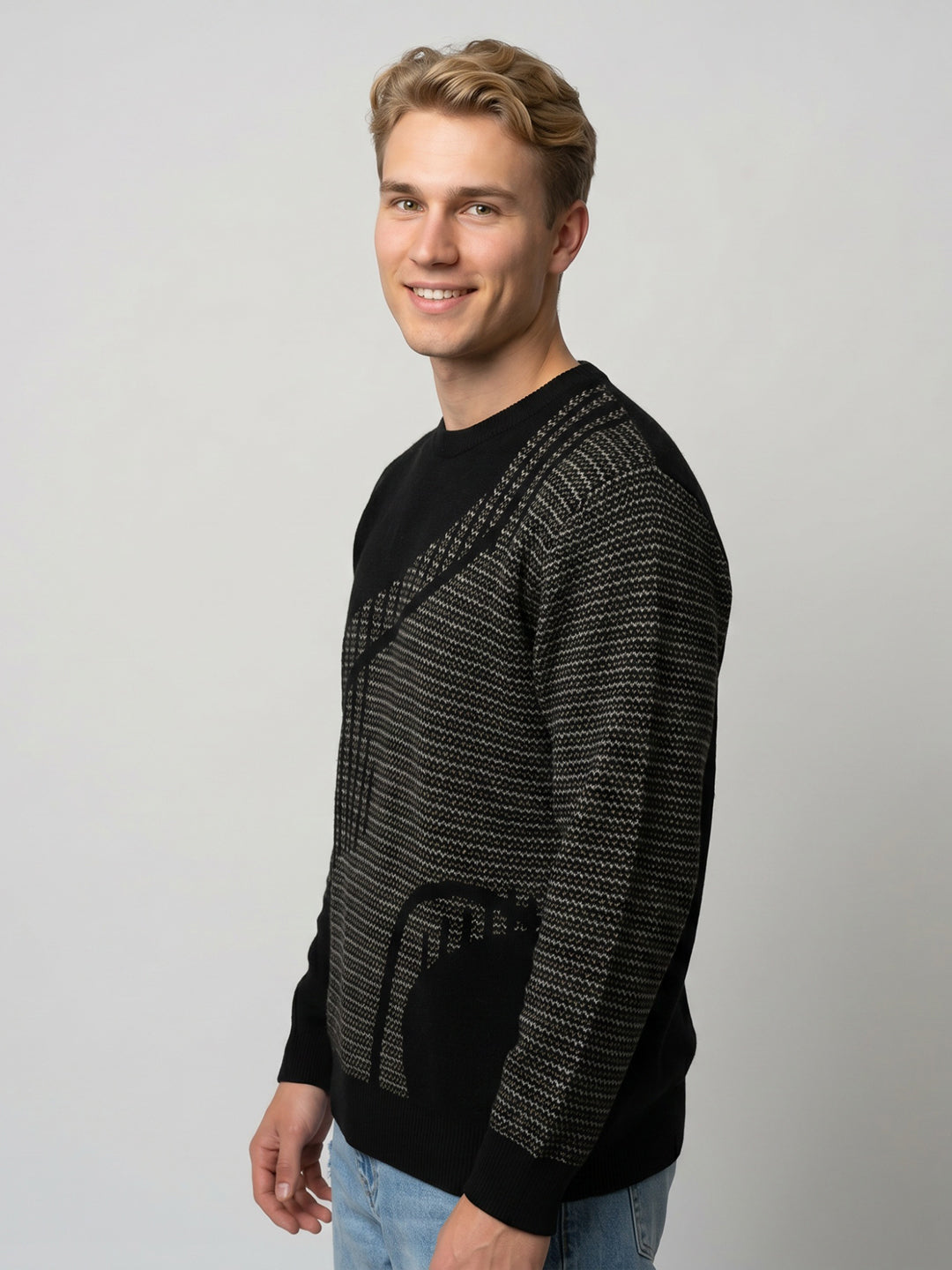 Men Black Jacquard Round Neck Full Sleeve Pullover