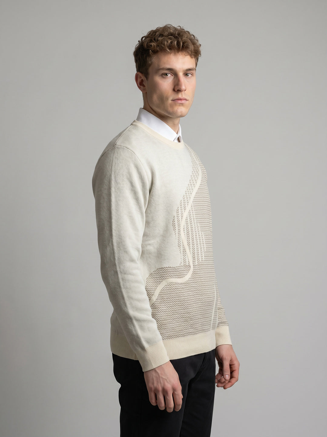 Men Beige Jacquard Round Neck Full Sleeve Pullover