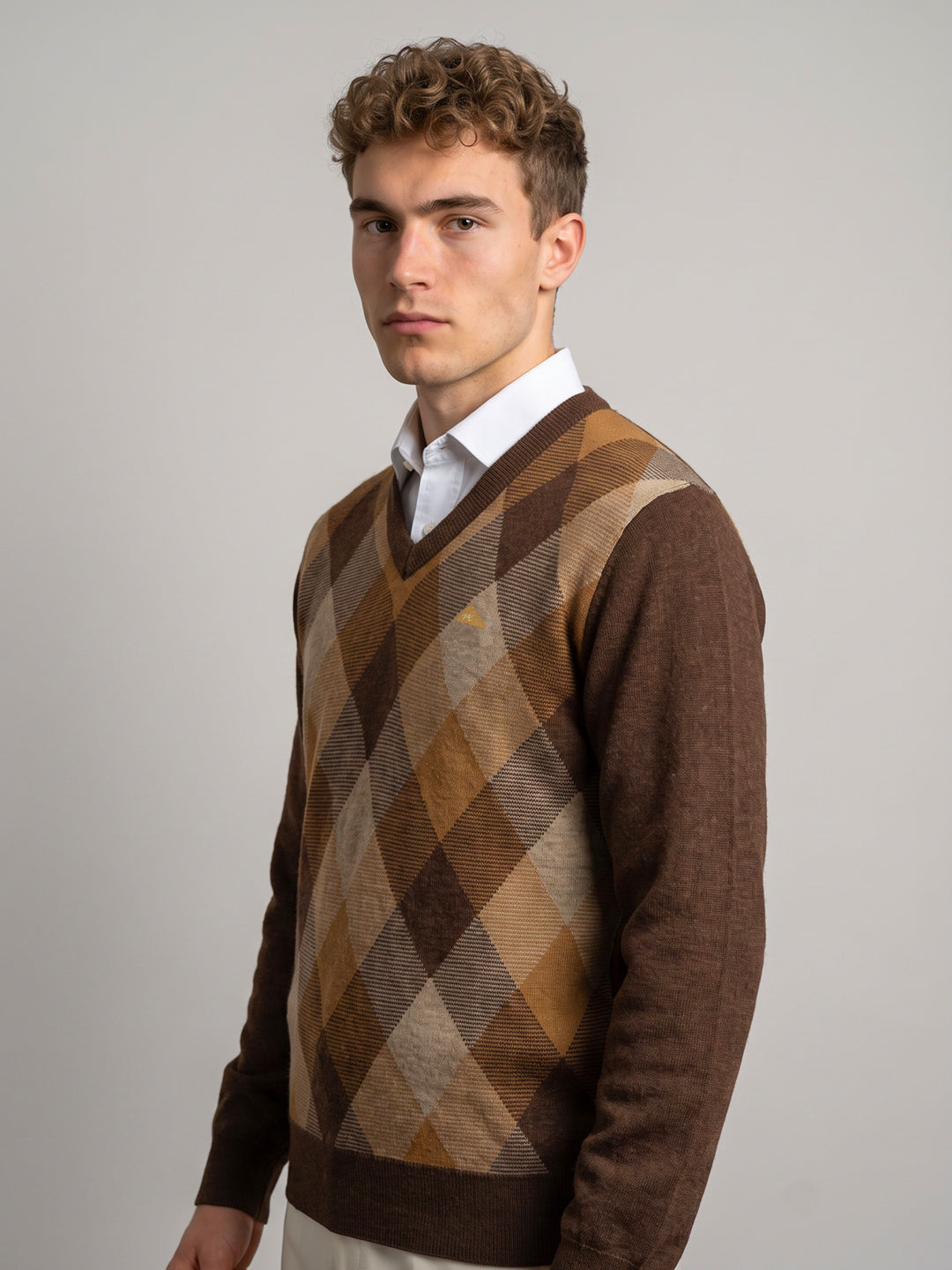 Men Brown Argyle Pattern V Neck Full Sleeve Pullover