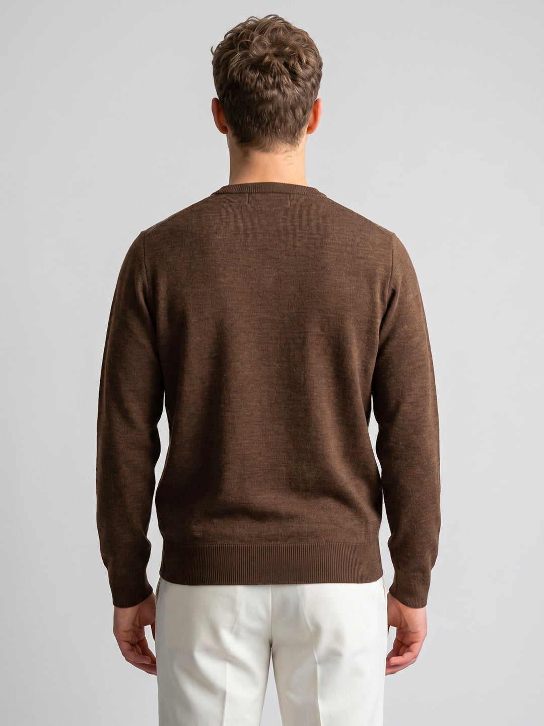Men Brown Argyle Pattern V Neck Full Sleeve Pullover