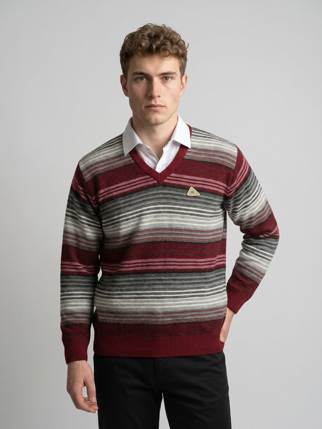 Men Purple Stripe V Neck Full Sleeve Pullover