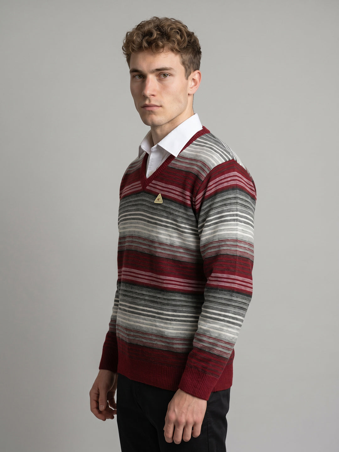 Men Purple Stripe V Neck Full Sleeve Pullover