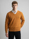 Men Multicolor Self Design V Neck Full Sleeve Pullover
