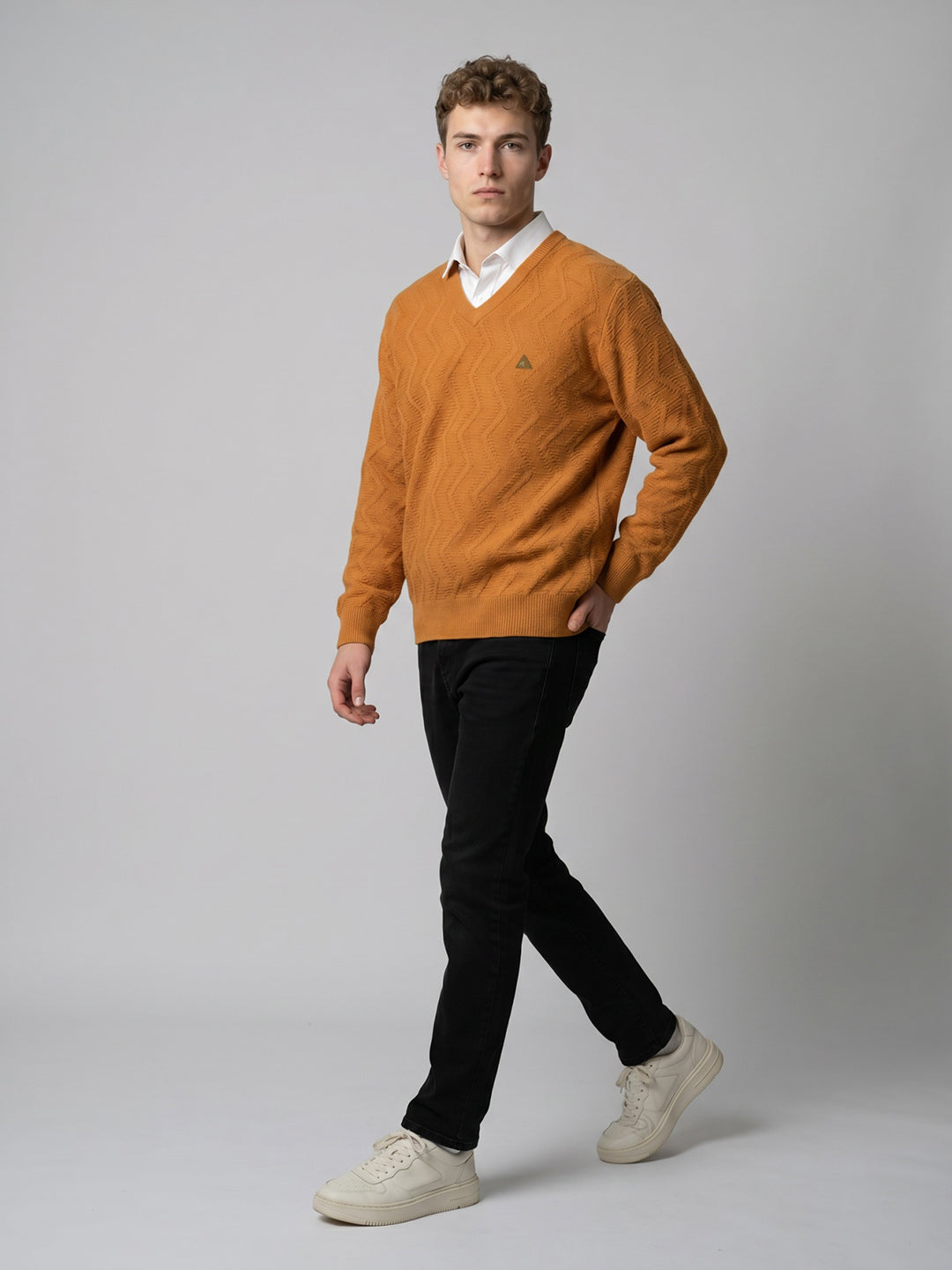 Men Multicolor Self Design V Neck Full Sleeve Pullover