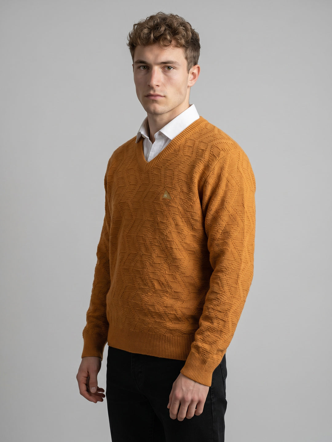 Men Multicolor Self Design V Neck Full Sleeve Pullover