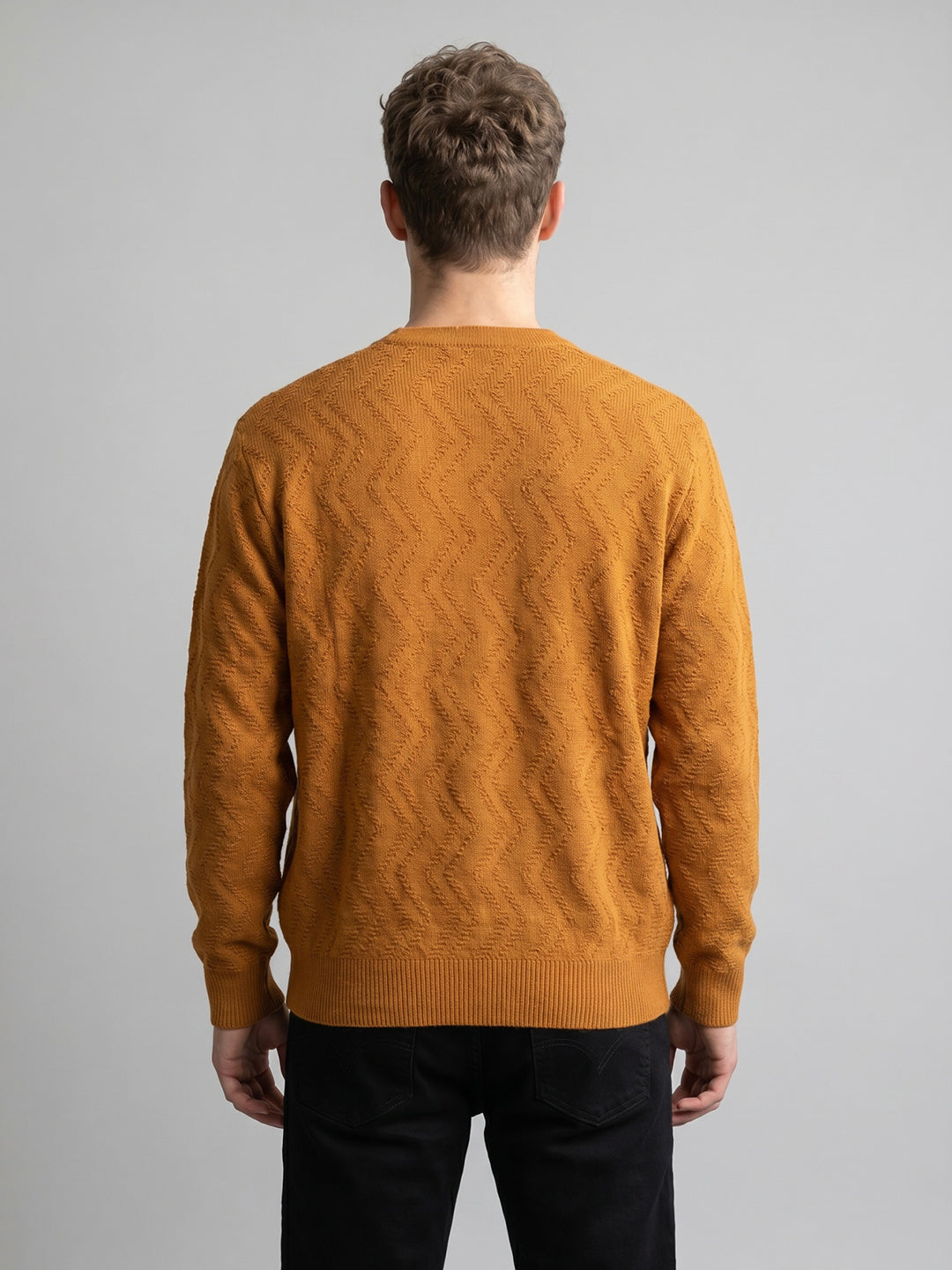 Men Multicolor Self Design V Neck Full Sleeve Pullover