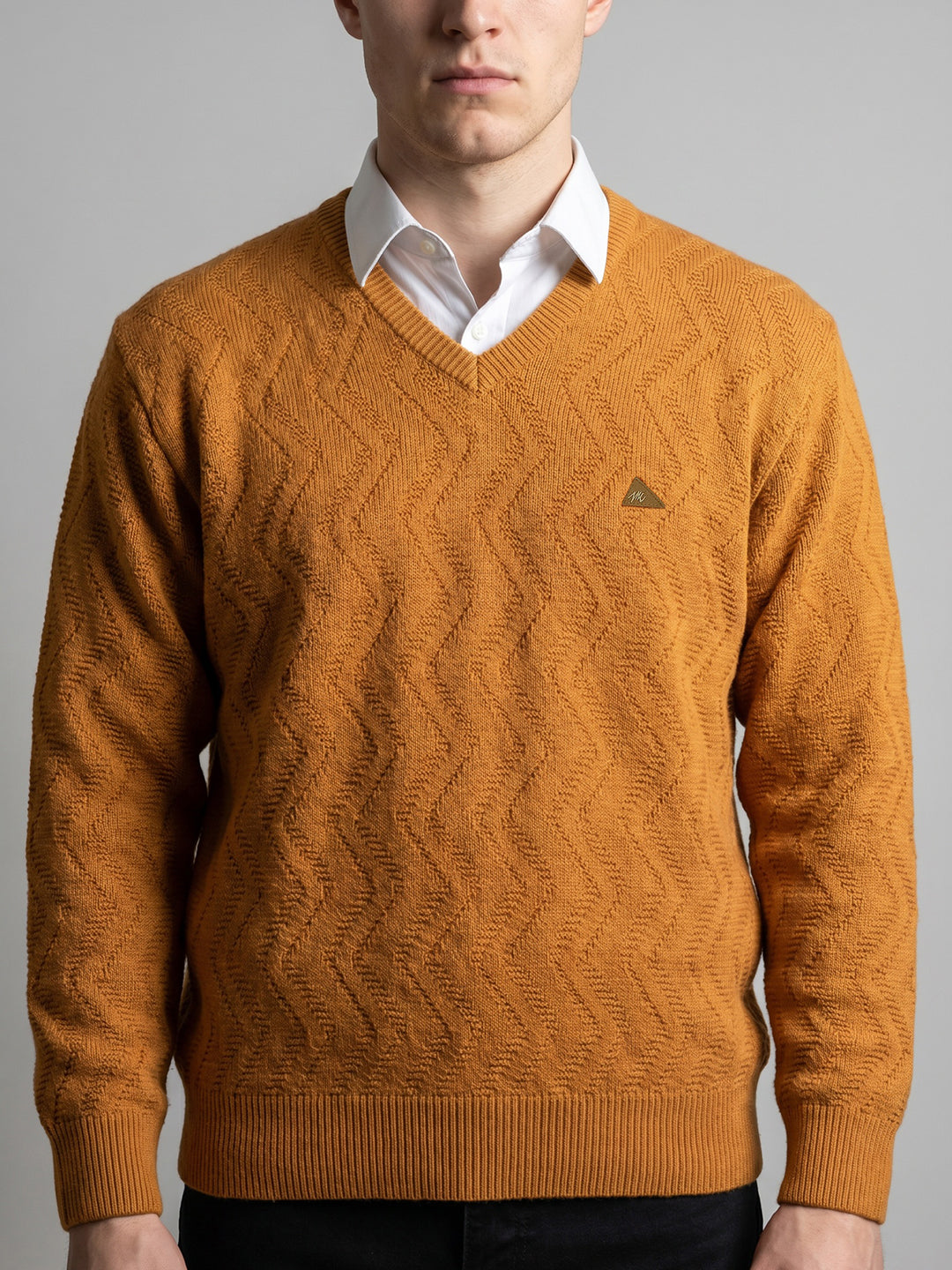 Men Multicolor Self Design V Neck Full Sleeve Pullover