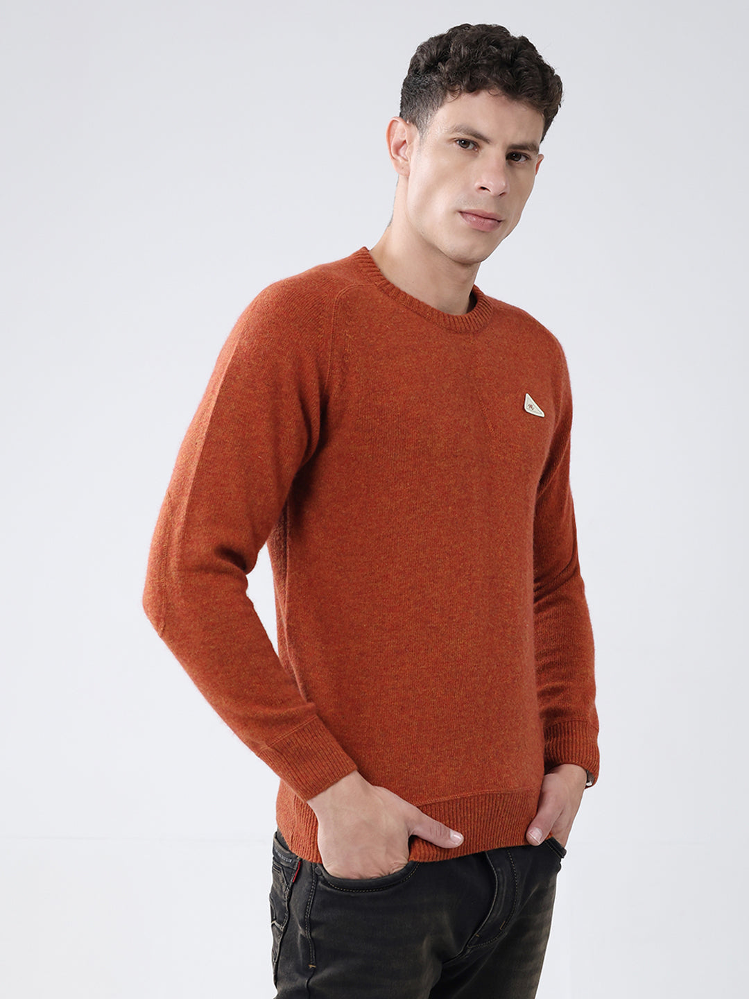 Men Rust Solid Round Neck Full Sleeve Pullover