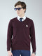Men Purple Solid V Neck Full Sleeve Pullover