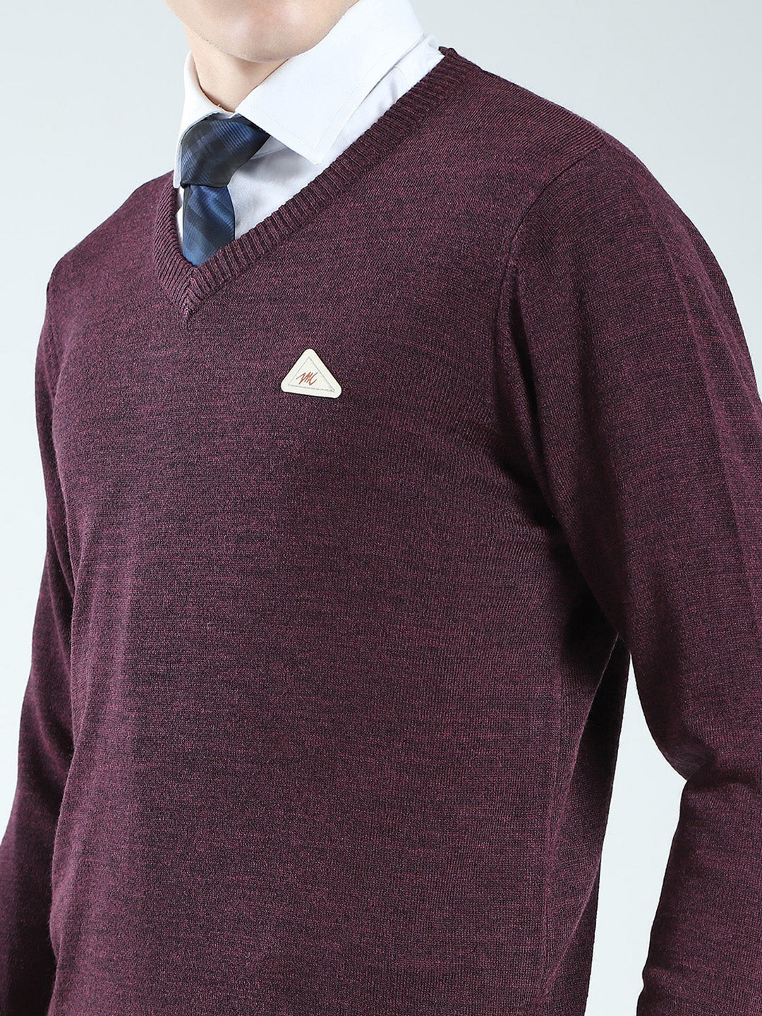 Men Purple Solid V Neck Full Sleeve Pullover