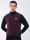 Men Purple Solid V Neck Sleeveless Sweater