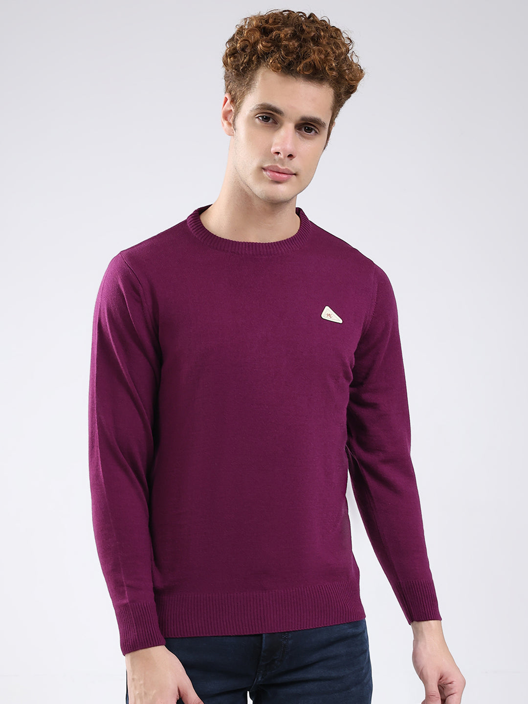 Men Purple Solid Round Neck Full Sleeve Pullover
