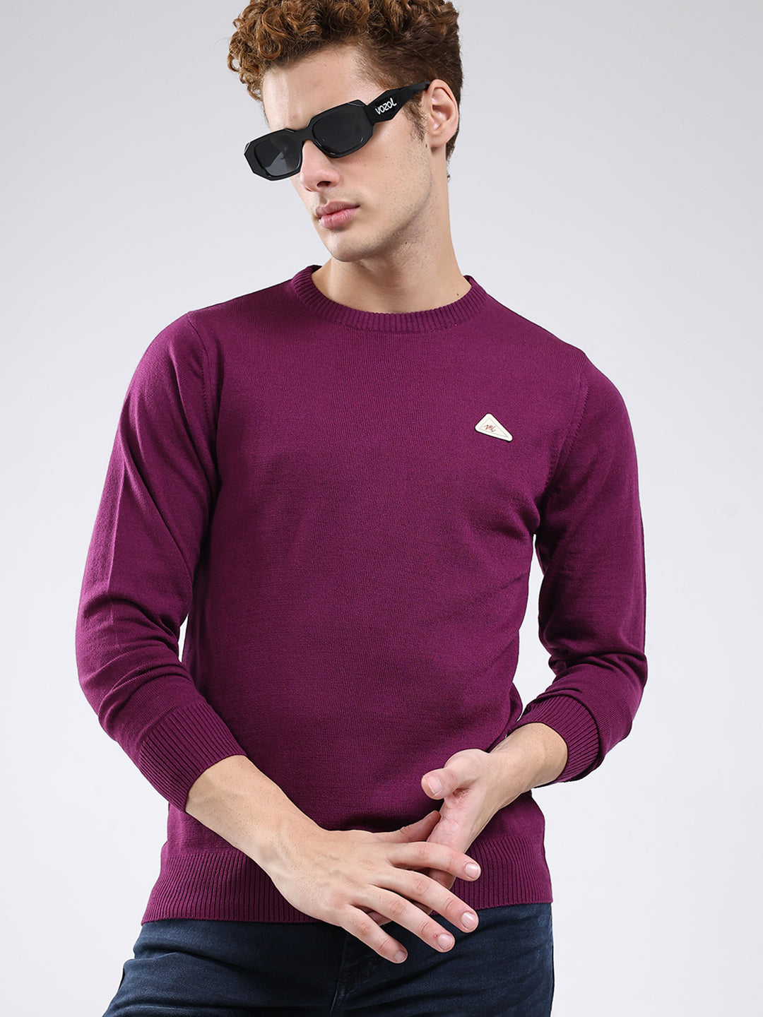 Men Purple Solid Round Neck Full Sleeve Pullover