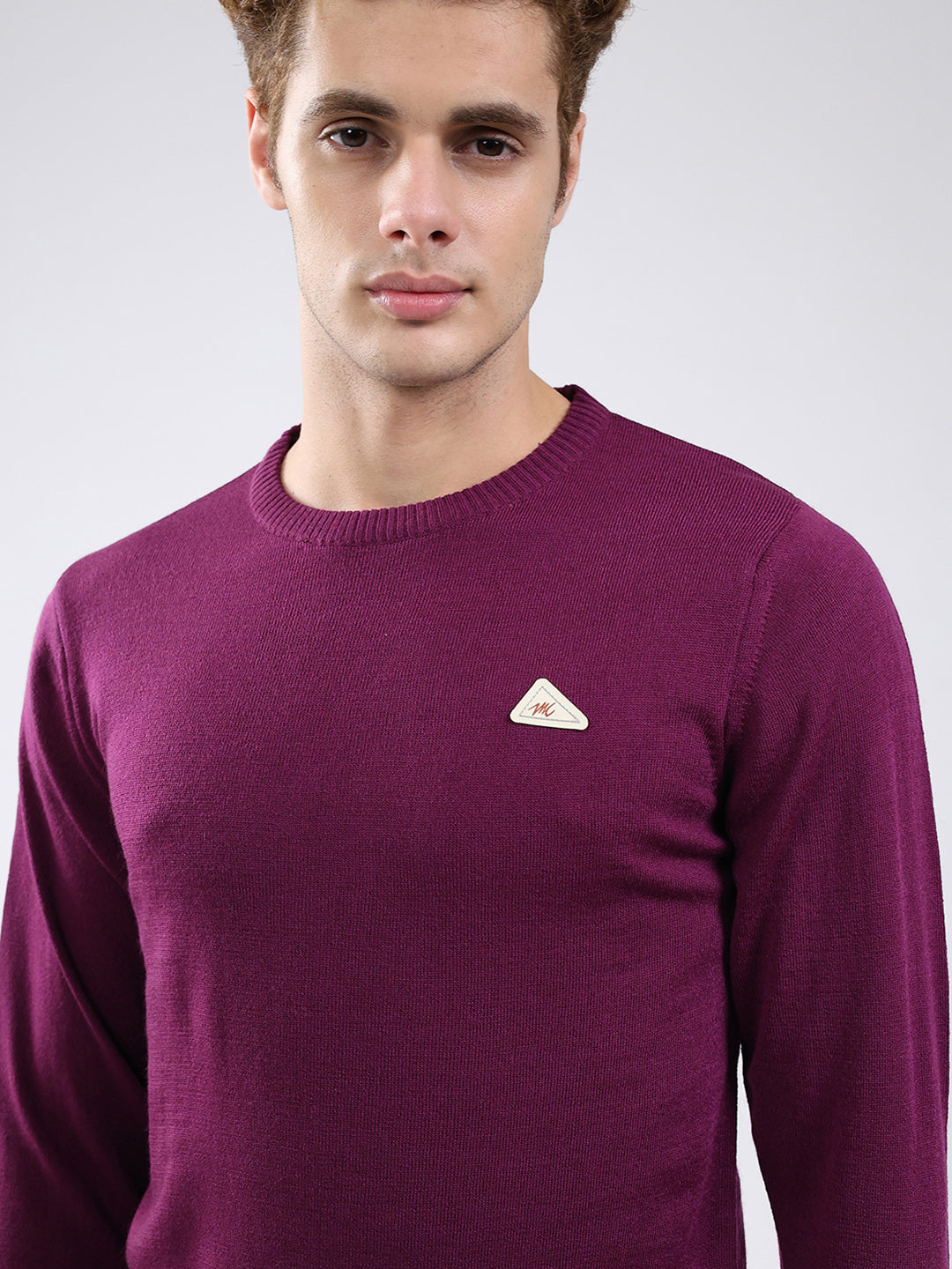 Men Purple Solid Round Neck Full Sleeve Pullover