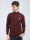 Men Brown Solid Turtle Neck Full Sleeve Pullover