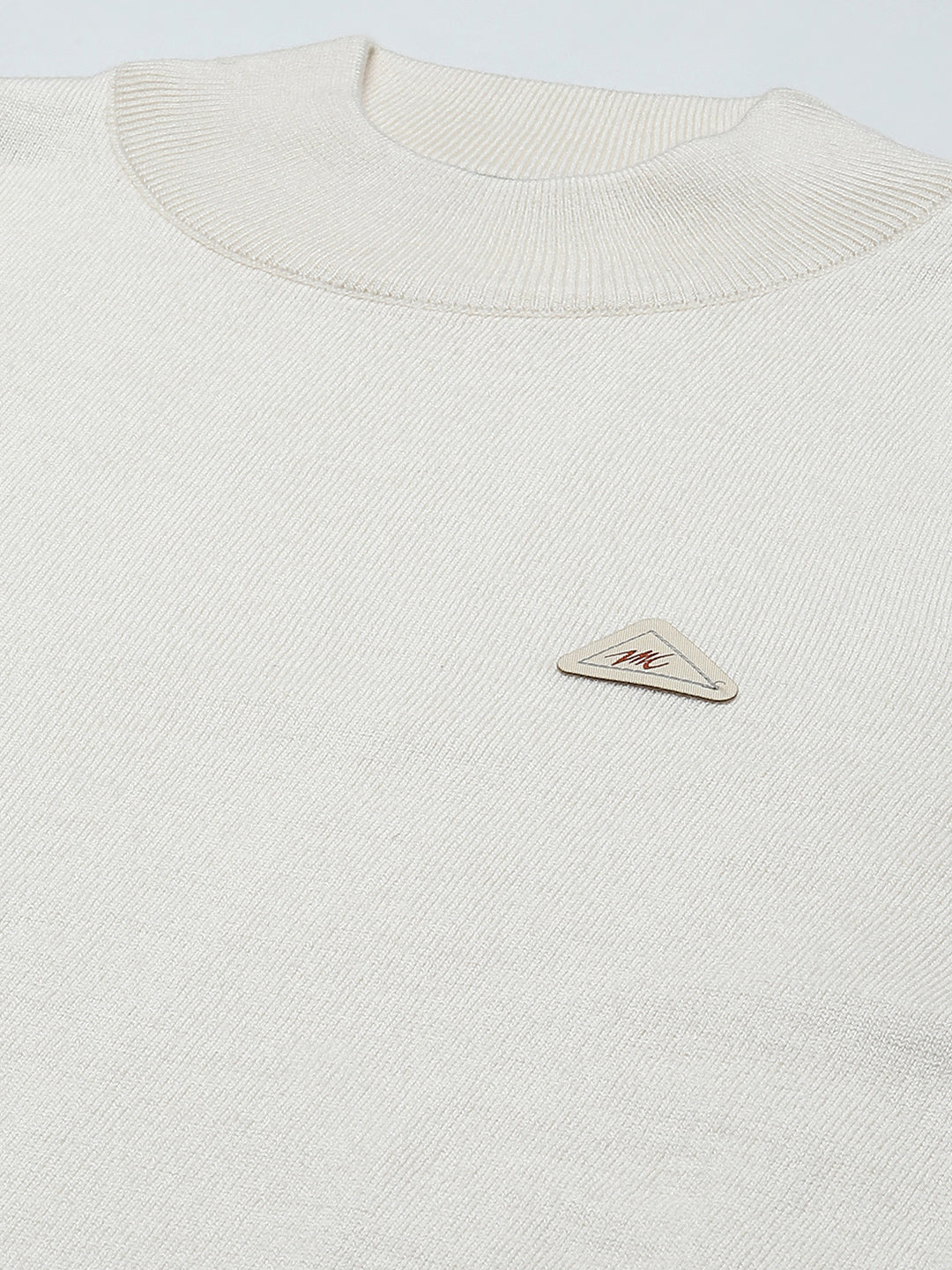 Men Cream Solid Turtle Neck Full Sleeve Pullover