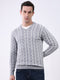 Luxuria Men Grey Stripe V Neck Full Sleeve Pullover