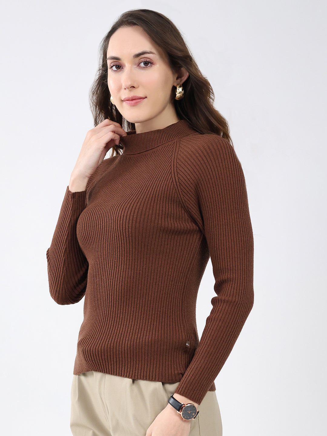 Women Brown Solid High Neck Full Sleeve Sceavy