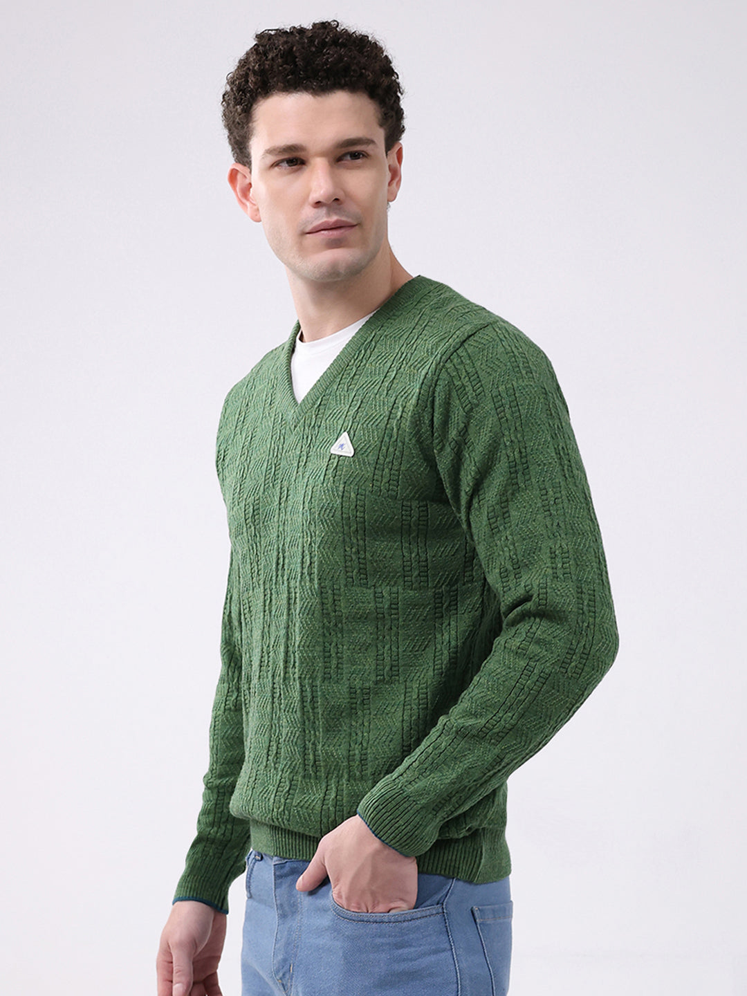 Men Green Self Design V Neck Full Sleeve Pullover